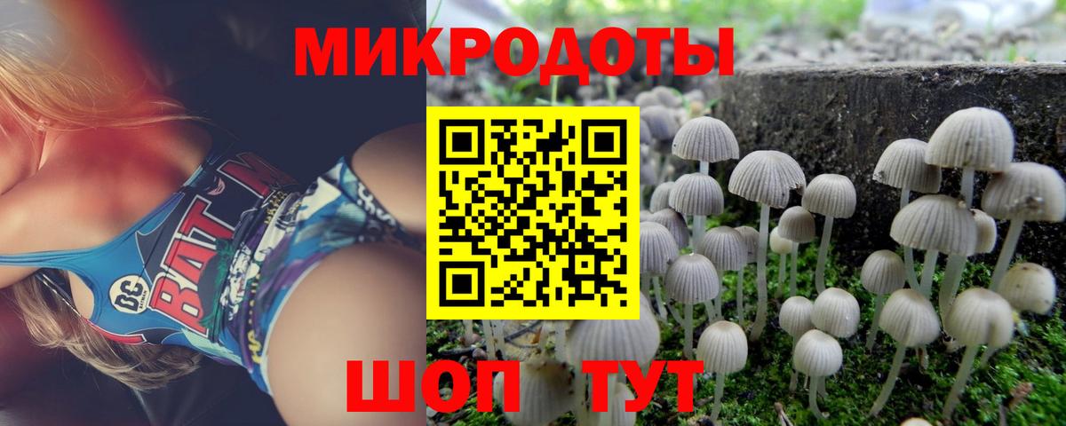 Галлюциногенные грибы MAGIC MUSHROOMS  Вход с VPN  Советский 